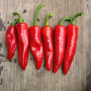 Meet your Posher, John and jennifer